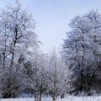 Морозное дыхание зимы :: Рита Симонова