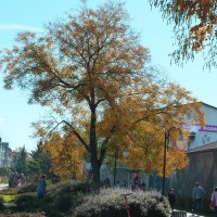 Осенний  сюжет :: Валентин Семчишин