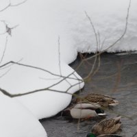 -- :: Александр Малюгин