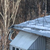 А Вы Ноктюрн сыграть смогли бы на флейте водосточных труб? :: олег свирский 