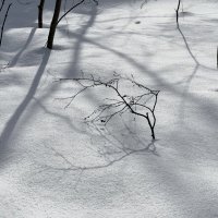 На снежной простыне… :: Любовь На снежной простыне… :: Любовь