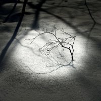 В центре внимания. :: Любовь 