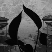 Единство :: Сергей Матвеенко