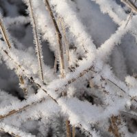 Изморозь (продолжение) :: Мария К.