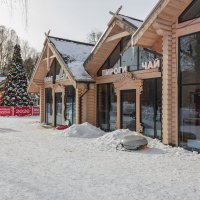 Парк "Кусково". Февраль. :: Борис Калитенко