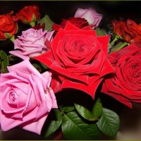 Букет роз ... :: Валентина Надсон