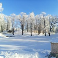 Зима :: Сапсан 