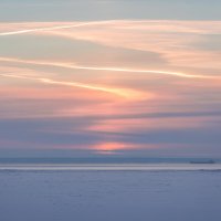 **** :: Елизавета .