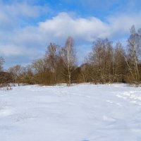 Зима в феврале. :: Милешкин Владимир Алексеевич 