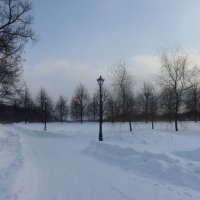 Парк :: Дмитрий И_