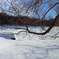 С мыслями уже о весне :: Андрей Лукьянов
