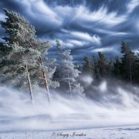 Танец северного ветра :: Сергей Ионников