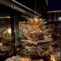 Вечерняя прогулка :: Veera V