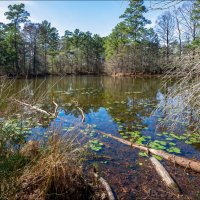 Озерцо :: **** vedin