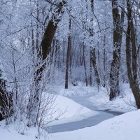 Заснеженный парк :: Рита Симонова