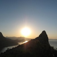 Природа Крыма :: Amazing Cosmea Природа Крыма :: Amazing Cosmea