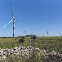 На Голанах :: Eugene * На Голанах :: Eugene *