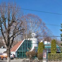 Весна 2025  года :: Валентин Семчишин