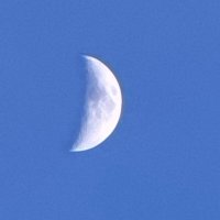 Дневная луна :: Андрей Дневная луна :: Андрей