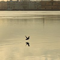 *** :: веселов михаил 