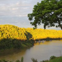 Вдоль реки :: Валентина 