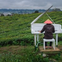 Концерт для фортепьяно с оркестром, или Про белый рояль в кустах :: Дмитрий Шишкин