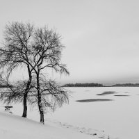 Зима. :: Владимир А.Р. 