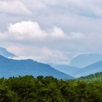 Ах, Абхазия.. :: Вячеслав Владимирович