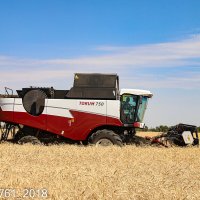 Torum-740  в поле. :: Руслан 