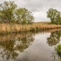 Река Анграпа :: Владимир Самсонов