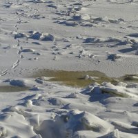 Чьи-то следы :: Anna-Sabina Anna-Sabina