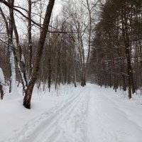Вот тебе и проводили зиму! :: Андрей Лукьянов