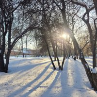 В городском сквере :: Галина Нестратова