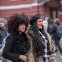 Кудряшка. :: Николай 