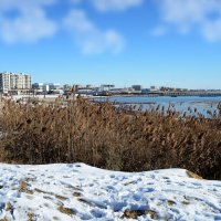 Берег Каспия :: Анатолий Чикчирный