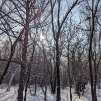 Утро,долгого дня. :: Андрей Хлопонин