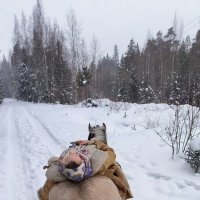 Полный релакс! :: Ольга Полный релакс! :: Ольга