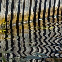 * :: Сергей Полянский