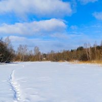 Зима в феврале. :: Милешкин Владимир Алексеевич 