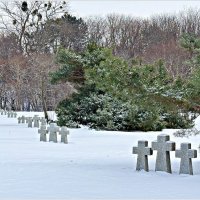 На Мемориальном кладбище. :: Валерия Комова На Мемориальном кладбище. :: Валерия Комова