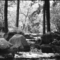 Ручей :: Алексей Лапин