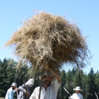 СЕНОКОС :: Tata Wolf СЕНОКОС :: Tata Wolf