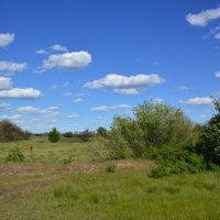 Весна. :: Виктор 