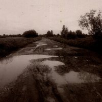 Фотография :: Денис Безногов