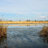 Февраль. :: Владимир 