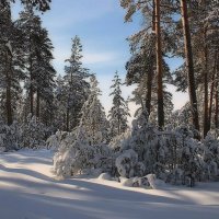 Зимняя чистота :: елена беликова Зимняя чистота :: елена беликова