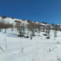 Ак Булак. Талгар :: Murat Bukaev 