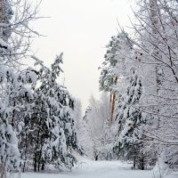 А секг все идет....... :: Ольга