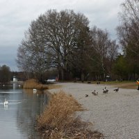 ... :: Галина ... :: Галина