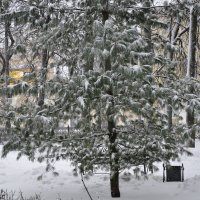 Снегом украшена, запорошена :: Татьяна Машошина